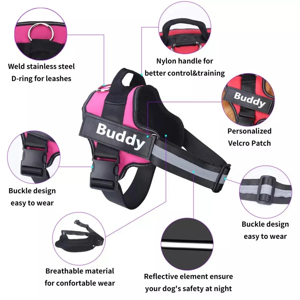 Personalized No Pull Breathable Dog Harness - FREE SHIPPING TODAY ONLY