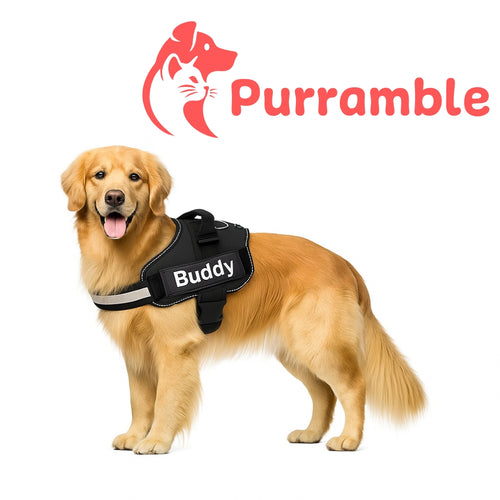 Personalized No Pull Breathable Dog Harness - FREE SHIPPING TODAY ONLY